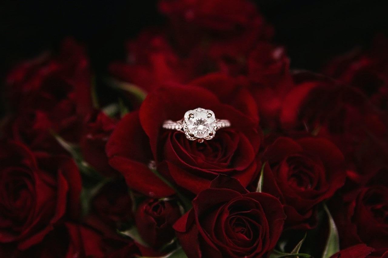 An impressive diamond engagement ring sitting in the middle of a boutique of red roses